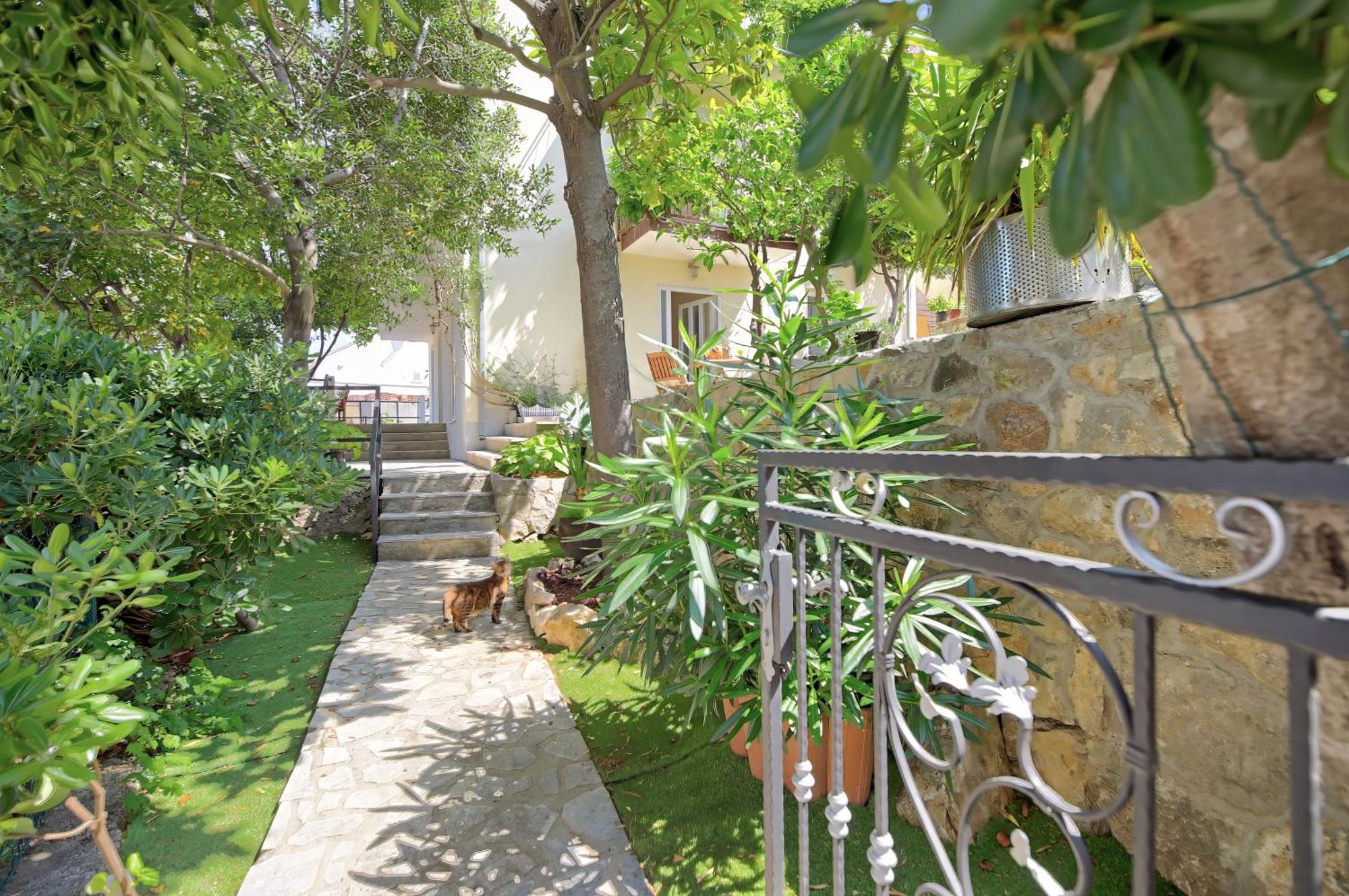 Bojana Apartments Cavtat Ngoại thất bức ảnh